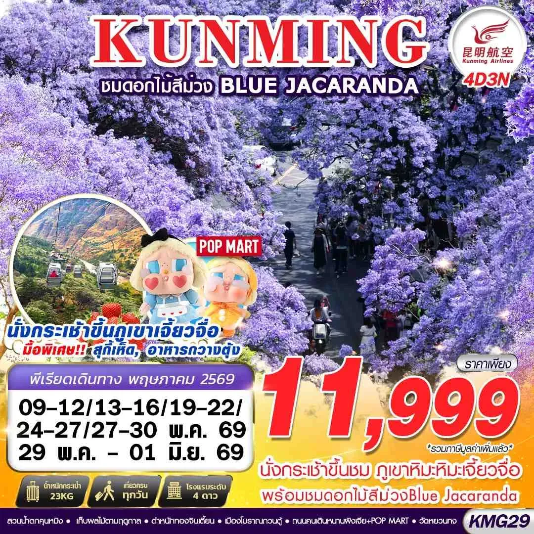 ทัวร์จีน KUNMING ภูเขาหิมะเจี้ยวจื่อ - ดอกไม้สีม่วง Blue Jacaranda 4วัน 3คืน (KY)